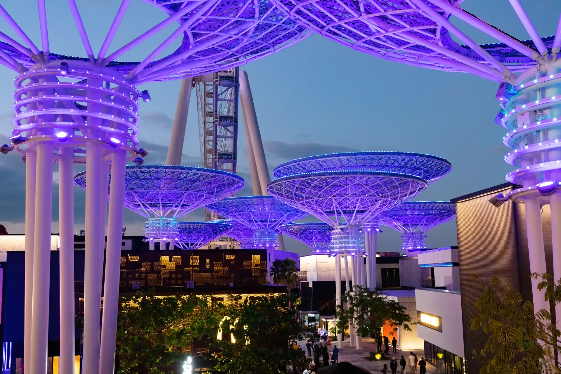 Future Innovations in Structural Engineering